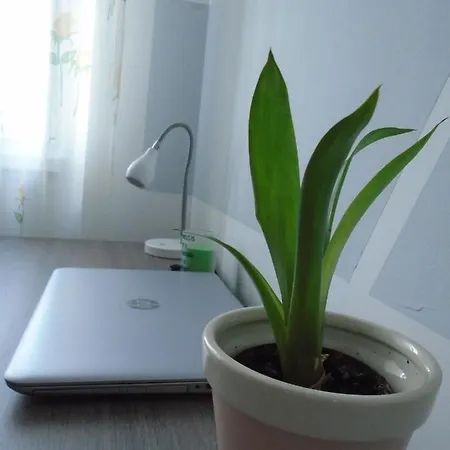 Apartman Stupine Metropola Apartman *